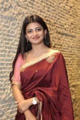 Itlu Maredumilli Prajaneekam Actress Anandhi Saree Pics