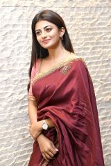 Itlu Maredumilli Prajaneekam Actress Anandhi Saree Pics