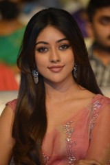 Anu Emmanuel Saree picture