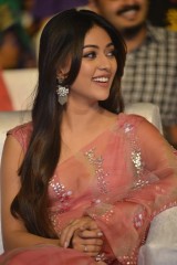 Anu Emmanuel  beautiful saree styles