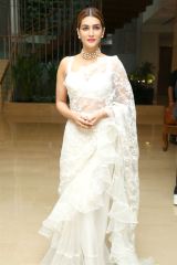 Kriti Sanon graceful saree outfit