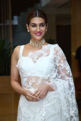 Kriti Sanon in elegant saree