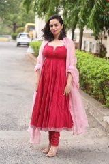  Malavika Nair in elegant ethnic dress