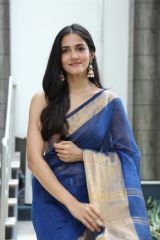 Simran Choudhary graceful saree outfit