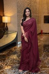 Srinidhi Shetty saree elegance photo