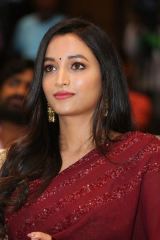 Srinidhi Shetty in traditional wear