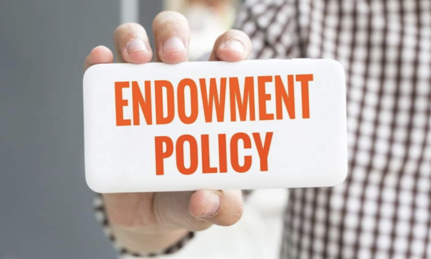 Endowment Life Insurance